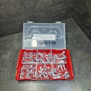 Fischer Fixtainer 535968 L-BOXX mini DuoPower - 210 Teile