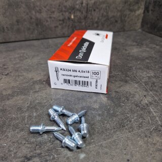 100 Fixpin Einschlagdübel M6 4,0x18 mm