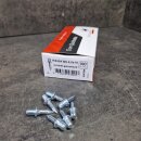 100 Fixpin Einschlagdübel M6 4,0x18 mm