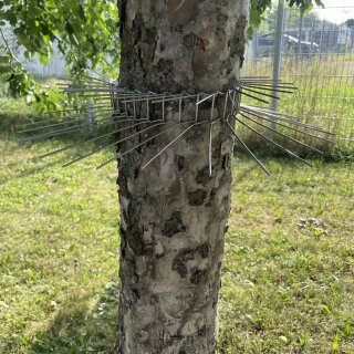 Marderabwehrgürtel 70cm Edelstahl